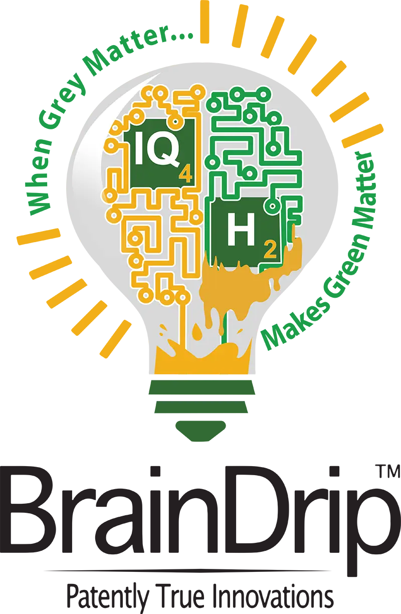 Braindrop logo in color